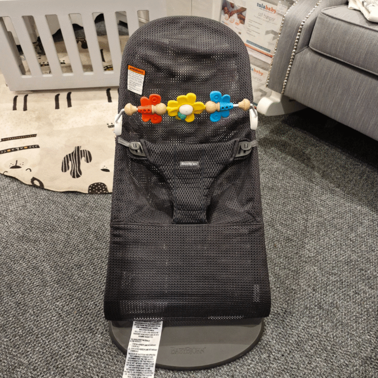 Baby Bjorn Bouncer