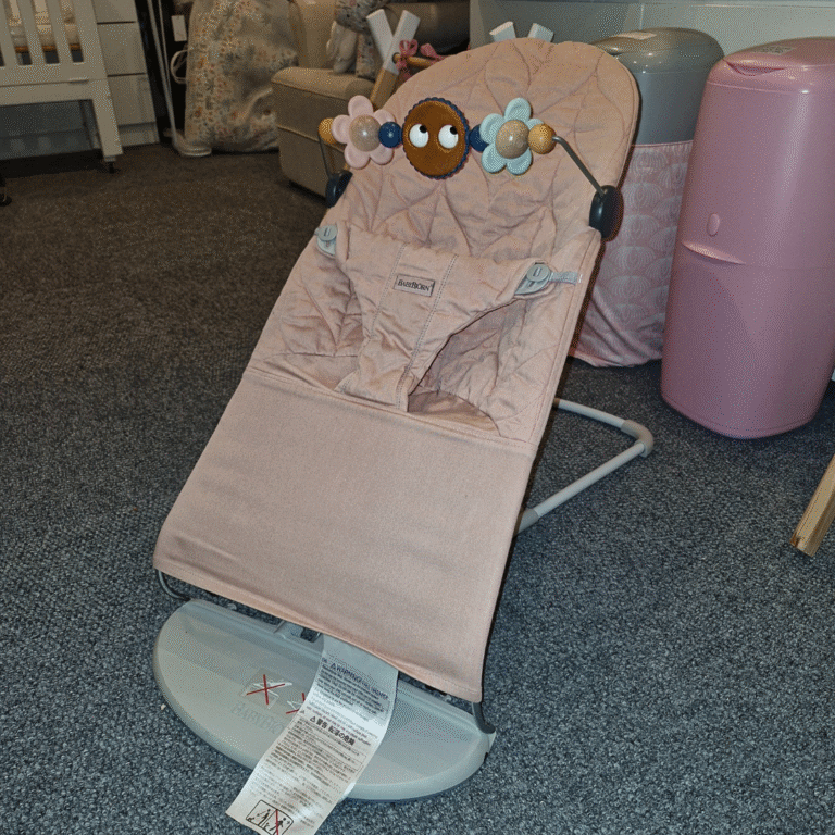 Rent Baby Bjorn Bouncer