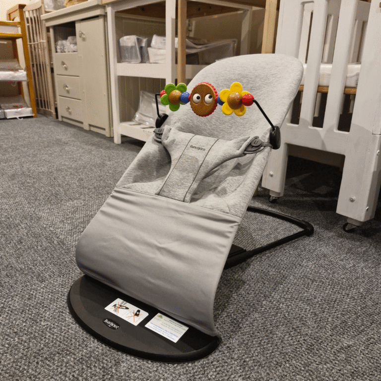 Rent Baby Bjorn Bouncer