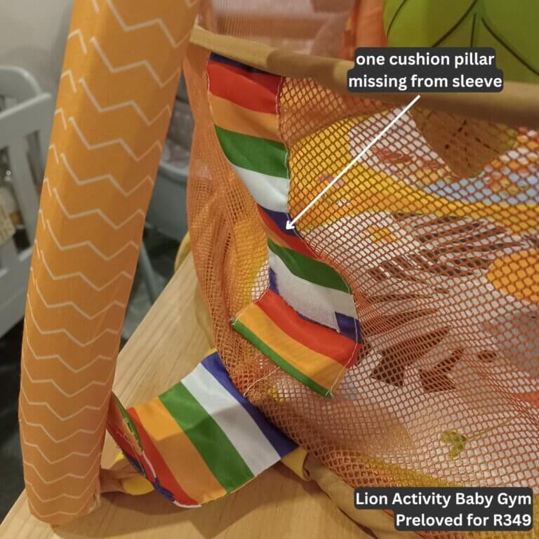 Lion Activity Baby Gym